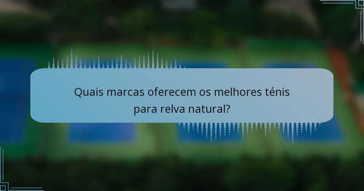 Quais marcas oferecem os melhores ténis para relva natural?